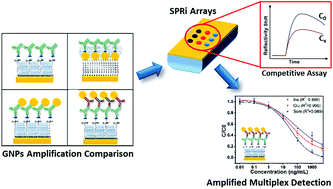 Graphical abstract: Gold nanoparticle amplification strategies for multiplex SPRi-based immunosensing of human pancreatic islet hormones