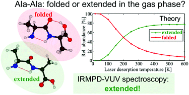 Graphical abstract: Competition between folded and extended structures of alanylalanine (Ala-Ala) in a molecular beam