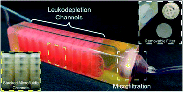 Graphical abstract: Hybrid negative enrichment of circulating tumor cells from whole blood in a 3D-printed monolithic device