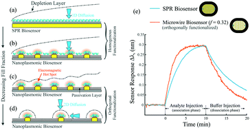 Graphical abstract: Analyte transport to micro- and nano-plasmonic structures