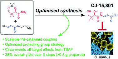 Graphical abstract: Overcoming synthetic challenges in targeting coenzyme A biosynthesis with the antimicrobial natural product CJ-15,801