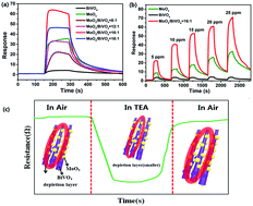 Graphical abstract: A novel composite of α-MoO3/BiVO4 for triethylamine selective detection