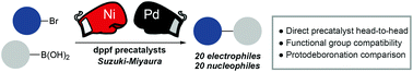 Graphical abstract: Ni vs. Pd in Suzuki–Miyaura sp2–sp2 cross-coupling: a head-to-head study in a comparable precatalyst/ligand system