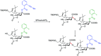 Graphical abstract: Gold(i)-promoted α-selective sialylation of glycosyl ortho-hexynylbenzoates for the latent-active synthesis of oligosialic acids