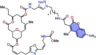Graphical abstract: Fluorescence-labeled neopeltolide derivatives for subcellular localization imaging