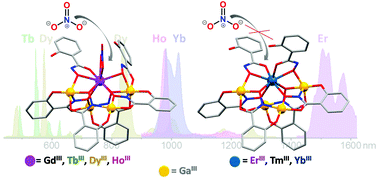 Graphical abstract: Peculiarities of crystal structures and photophysical properties of GaIII/LnIII metallacrowns with a non-planar [12-MC-4] core