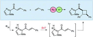 Graphical abstract: Brønsted acid catalysis of photosensitized cycloadditions