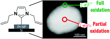 Graphical abstract: Site-dependent selectivity in oxidation reactions on single Pt nanoparticles