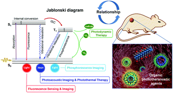 Graphical abstract: Design of superior phototheranostic agents guided by Jablonski diagrams