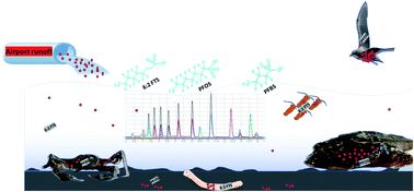 Graphical abstract: The fate of poly- and perfluoroalkyl substances in a marine food web influenced by land-based sources in the Norwegian Arctic