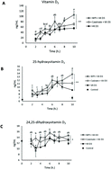 Graphical abstract: Milk protein complexation enhances post prandial vitamin D3 absorption in rats
