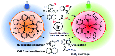 Graphical abstract: Photoredox catalysis on unactivated substrates with strongly reducing iridium photosensitizers