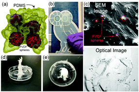 Graphical abstract: Nature inspired solid–liquid phase amphibious adhesive