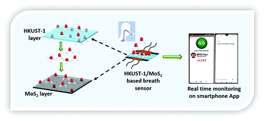 Graphical abstract: MOF based flexible, low-cost chemiresistive device as a respiration sensor for sleep apnea diagnosis