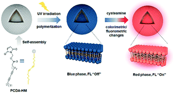 Graphical abstract: Simultaneous and visual detection of cysteamine based on Michael addition reaction with polydiacetylene liposomes