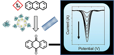 Graphical abstract: The laccase mediator system at carbon nanotubes for anthracene oxidation and femtomolar electrochemical biosensing