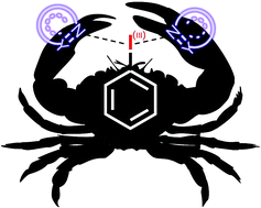 Graphical abstract: Pseudocyclic bis-N-heterocycle-stabilized iodanes – synthesis, characterization and applications