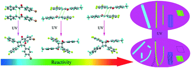 Graphical abstract: Fluorine as a robust balancer for tuning the reactivity of topo-photoreactions of chalcones and the photomechanical effects of molecular crystals