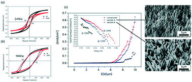 Graphical abstract: Synthesis of morphology-improved single-crystalline iron silicide nanowires with enhanced physical characteristics