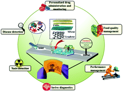 Graphical abstract: Microfluidic sensors based on two-dimensional materials for chemical and biological assessments