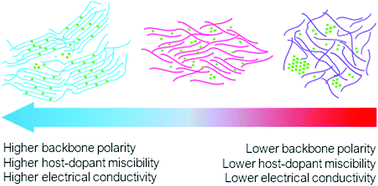 Graphical abstract: Backbone-driven host–dopant miscibility modulates molecular doping in NDI conjugated polymers