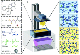 Graphical abstract: Controlling mechanical properties of 3D printed polymer composites through photoinduced reversible addition–fragmentation chain transfer (RAFT) polymerization