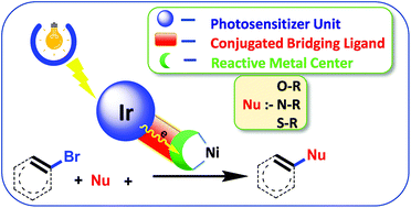 Graphical abstract: Unimolecular cooperative metallaphotocatalysis with conjugately bridged Ir–Ni complexes and its applications in organic coupling reactions