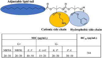 Graphical abstract: Development of lipidated polycarbonates with broad-spectrum antimicrobial activity