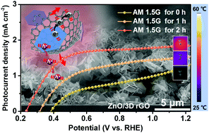 Graphical abstract: Synergistically promoted charge separation/transfer in a ZnO nanosheet photoanode via the incorporation of multifunctional 3DrGO