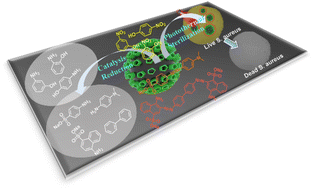 Graphical abstract: Pillararene-functionalized rhodium nanoparticles for efficient catalytic reduction and photothermal sterilization