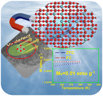Graphical abstract: Supercritical CO2-induced room-temperature ferromagnetism in two-dimensional MoO3−x