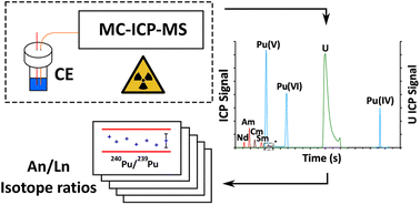 Graphical abstract: Separation and isotope ratio measurements of actinides and lanthanides in spent nuclear fuel samples by CE-MC-ICP-MS