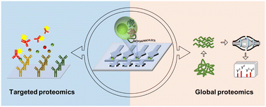 Graphical abstract: Recent advances in microfluidics for single-cell functional proteomics