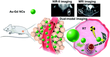 Graphical abstract: Magnetic and near-infrared-II fluorescence Au–Gd nanoclusters for imaging-guided sensitization of tumor radiotherapy