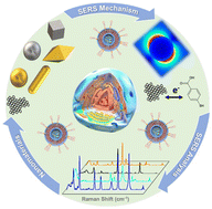 Graphical abstract: Emerging SERS biosensors for the analysis of cells and extracellular vesicles