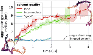 Graphical abstract: Competing single-chain folding and multi-chain aggregation pathways control solution-phase aggregate morphology of organic semiconducting polymers