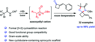 Graphical abstract: Synthesis of spirocyclic oxazole derivatives from 2-arylidene cycloalkanones and α-halohydroxamates