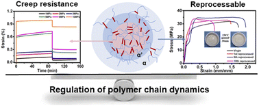 Graphical abstract: A dynamic polyurea network with exceptional creep resistance