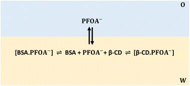 Graphical abstract: Modulating the ion-transfer electrochemistry of perfluorooctanoate with serum albumin and β-cyclodextrin