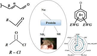 Graphical abstract: Read-across-based intelligent learning: development of a global q-RASAR model for the efficient quantitative predictions of skin sensitization potential of diverse organic chemicals