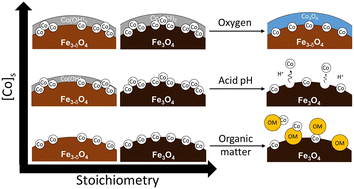 Graphical abstract: What are the effects of environmental factors on Co speciation at the magnetite surface?