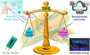 Graphical abstract: The green manufacturing of thermoplastic starch for low-carbon and sustainable energy applications: a review on its progress