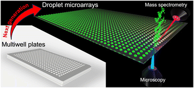 Graphical abstract: Open microfluidics: droplet microarrays as next generation multiwell plates for high throughput screening