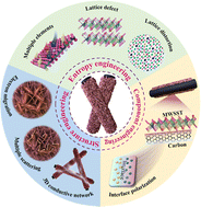 Graphical abstract: Entropy engineering enhances the electromagnetic wave absorption of high-entropy transition metal dichalcogenides/N-doped carbon nanofiber composites