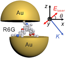 Graphical abstract: Flexible plasmonic nanocavities: a universal platform for the identification of molecular orientations