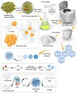 Graphical abstract: Facile green synthesis of wasted hop-based zinc oxide nanozymes as peroxidase-like catalysts for colorimetric analysis