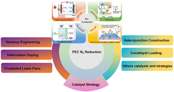 Graphical abstract: Recent progress in ammonia synthesis based on photoelectrocatalysis