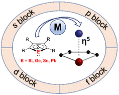 Graphical abstract: Group 14 metallole dianions as η5-coordinating ligands