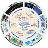 Graphical abstract: 3D shape morphing of stimuli-responsive composite hydrogels