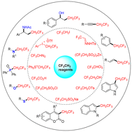 Graphical abstract: Recent advances in trifluoroethylation reaction